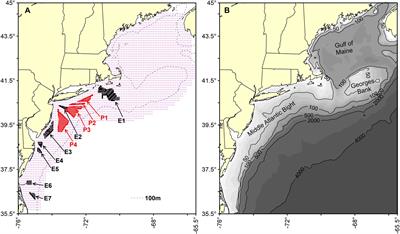 Resource Occurrence and Productivity in Existing and Proposed Wind Energy Lease Areas on the Northeast US Shelf